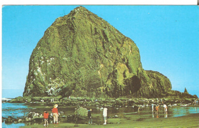 SUA Haystack Rock monolith ~ Cannon Beach Oregon ~ 1960s postcard foto