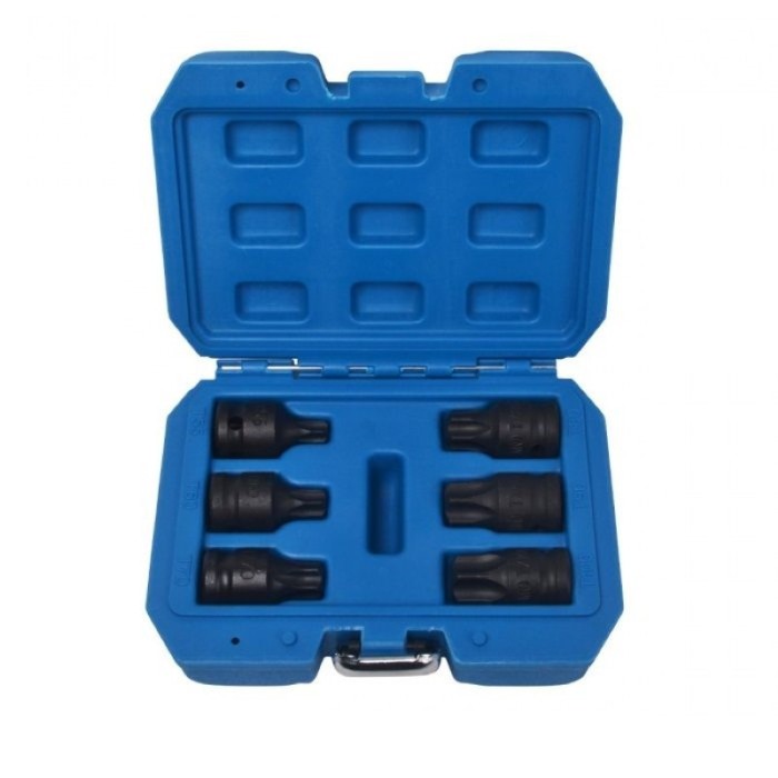 Set imbusuri de impact Torx , T55-T100 , 1/2