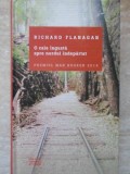O CALE INGUSTA SPRE NORDUL INDEPARTAT-RICHARD FLANAGAN-235352