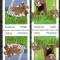 ROMANIA 2021, Europa Cept, Specii pe cale de disparitie, MNH, neuzat, 2322