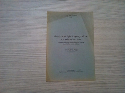 ASUPRA ORIGINII GEOGRAFICE A CASTANULUI BUN - Raul Calinescu - 1943, 8 p. foto