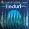 DISC LP: DORU POPOVICI / NICOLAE COMAN - LIEDURI (ST-ECE 01646 / 1980)