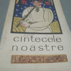 CANTECELE NOASTRE FOLCLOR POETIC HUNEDOREAN DEVA 1969 278 PAG