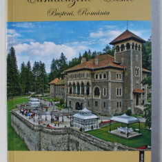 CANTACUZINO CASTLE - BUSTENI , ROMANIA de MARIANA CRISTESCU...ANA - MARIA HAIDUCU , EDITIE BILINGVA ROMANA - ENGLEZA , 2015