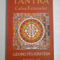 TANTRA CALEA EXTAZULUI - GEORG FEUERSTEIN