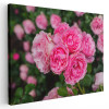 Tablou flori trandafiri roz Tablou canvas pe panza CU RAMA 80x120 cm