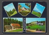 CPIB 18848 CARTE POSTALA - PREDEAL, MOZAIC