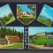 CPIB 18848 CARTE POSTALA - PREDEAL, MOZAIC