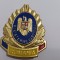 Emblema coifura/Insigna/Cuc cascheta-Ministerul Justitiei 2