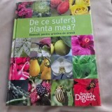 De ce sufera planta mea? Remedii pentru gradina de acasa