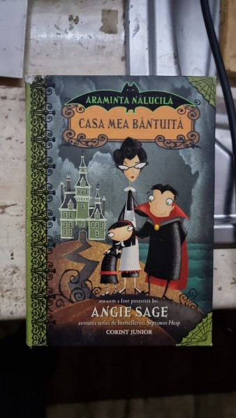 Angie Sage - Araminta Nalucila, volumul 1. Casa mea bantuita