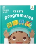 Ce este programarea/Ruth Spiro, Irene Chan