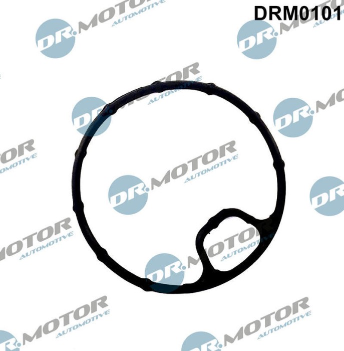 Garnituri, Carcasa Filtru Ulei 310613 DRM0101