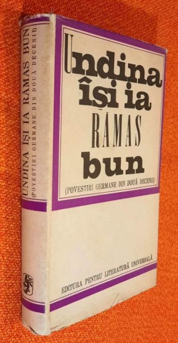 Undina isi ia ramas bun - povestiri germane din doua decenii