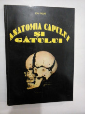 ANATOMIA CAPULUI SI GATULUI - ION PASAT foto