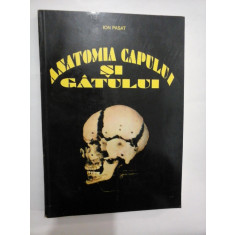 ANATOMIA CAPULUI SI GATULUI - ION PASAT