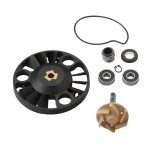 Pompa Apa Scuter Piaggio MP3 125cc 150cc 200cc - rulmenti mici