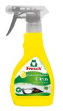 Cleaner Frosch pentru plite cu inductie si vitroceramice, 300 ml