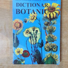 DICTIONAR BOTANIC de MARIA ANTOANETA VINTILESCU , SILVIA POPESCU , 1992