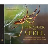 Spider silk scientists