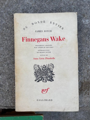 James Joyce - Finnegans Wake foto