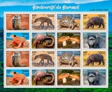 BURUNDI 2023 FAUNA BIODIVERSITATE