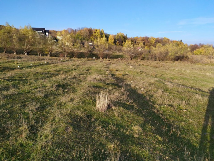 Proprietar Teren intravilan DE V&Acirc;NZARE(PRET REDUS) Campina-PH, cartier Voila