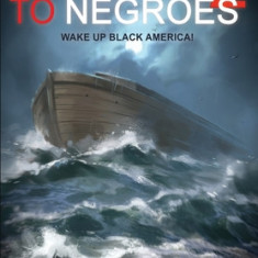 Hebrews to Negroes 2 Volume 3: Wake Up Black America