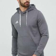 adidas Performance bluză bărbați, culoarea gri, cu glugă, uni HB0578