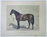Emil Volkers (1831-1905) - Radautzer