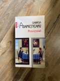 Gabriela Adamesteanu - Provizorat (Top 10+)