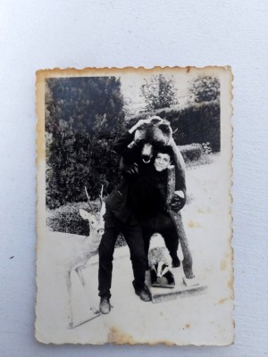 Fotografie cu tanar in statiune, poza cu urs, caprioara si bursuc, anii 60-70 foto