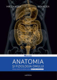 Anatomia și fiziologia omului - Paperback brosat - Mircea Nedea, Nita Nedea - Adenium