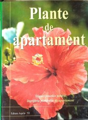 Plante de apartament - Jane Courtier foto