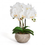 Artificial Orchid Phalaenopsis White 42 cm