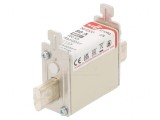 Siguranță gS 80A 690VAC 440VDC NH000, DF Electric