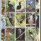 Guinee 1998 Birds, perf. block, used T.001