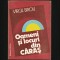 OAMENI ȘI LOCURI DIN CĂRAȘ / CARAȘ-SEVERIN - VIRGIL BIROU