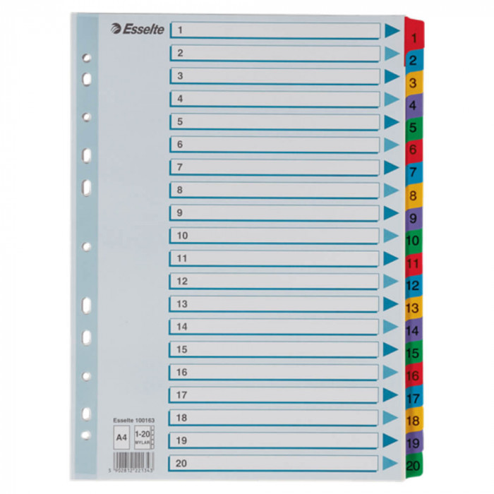 Separatoare Index din Carton Esselte Mylar, A4, Tip Index 1-20, Taste Laminate, Multicolor, Separator Index, Separatoare Carton Index, Separatoare Ess