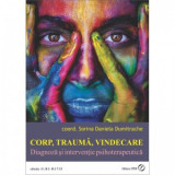 Corp, trauma, vindecare. Diagnoza si interventie psihoterapeutica - Sorina Daniela Dumitrache