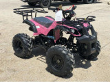 Atv Grizzly Kxd 125Cc BF-E+ Cutie De Viteza Automat D-N-R, Argo