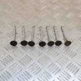 Supapa de evacuare BMW 3 E90 2006