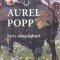 Aurel Popp