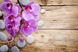 Cumpara ieftin Fototapet autocolant Orhidee roz cu pietre, 300 x 200 cm