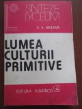 Lumea culturii primitive C.I.Gulian