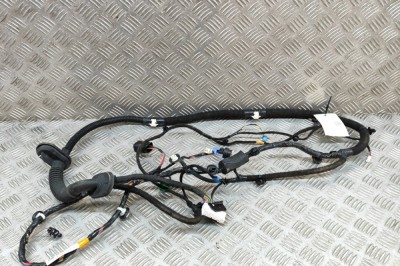 Cablaj ușă dreapta față TESLA MODEL Y 2021 OEM: 1489052-00-E 22595110 foto