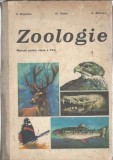 Zoologie. Manual pentru clasa a VI-a - Constantin Bogoescu