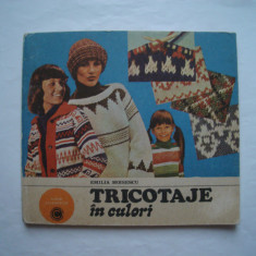 Tricotaje in culori - Emilia Moisescu