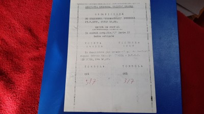 program Vointa Oradea - Victoria Ineu foto