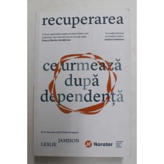 RECUPERAREA - CE URMEAZA DUPA DEPENDENTA de LESLIE JAMISON , 2019
